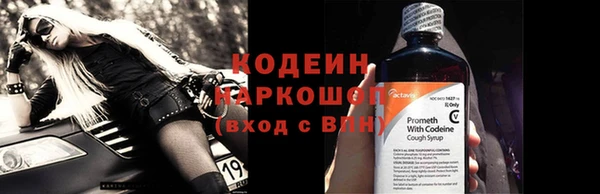 спиды Лиски