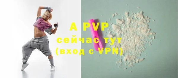 спиды Лиски