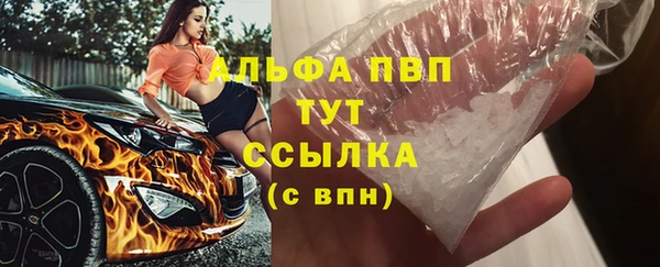 спиды Лиски