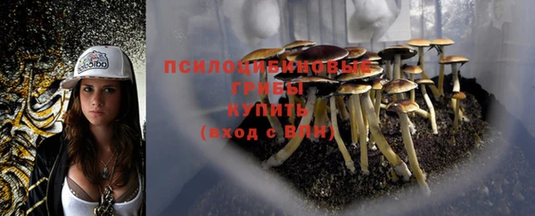 спиды Лиски