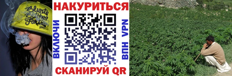 Бошки Шишки план  Пущино 
